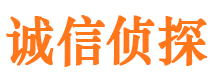 锦江市侦探公司